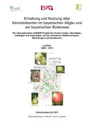 Erhaltung und Nutzung alter Kernobstsorten im bayerischen AllgÃ¤u ...