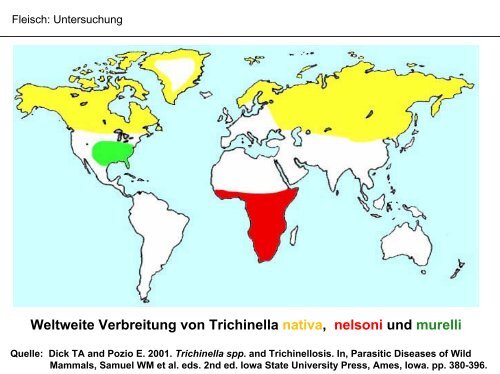 Allgemeine Info zum Trichinen- Vorkommen und Untersuchung