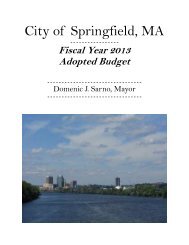 Download the FY 2013 Adopted Budget Document - City of Springfield