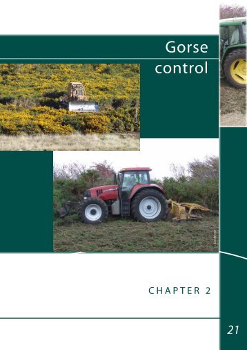 Gorse Control - Weeds Australia