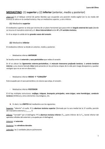 MEDIASTINO. Llamas (Completo).pdf - VeoApuntes.com