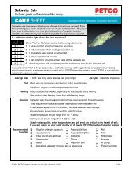freshwater eels for sale petco