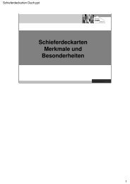 Schieferdeckarten Dach - Notiz