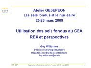 ComitiÃ© coordination CEA-CNRS RSF - gedepeon