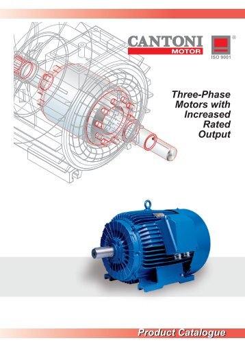 Three-Phase Motors with Increased Rated Output ... - Cantoni Group