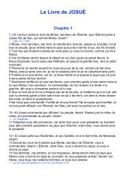 Le Livre de JOSUÃ Chapitre 1 - Laurent Remise