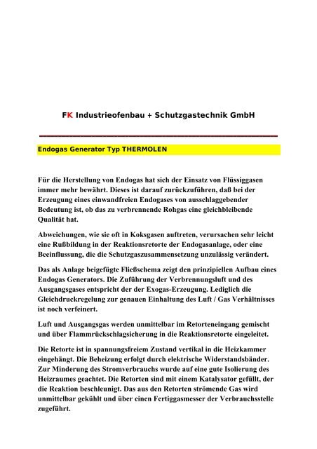 Bericht: Funktion Endogas Generator  - FK Industrieofenbau + ...