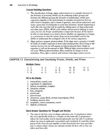 Study Guide chapter 13 answers