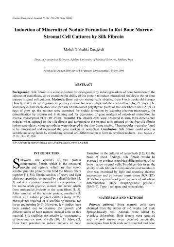 Induction of Mineralized Nodule Formation in Rat Bone Marrow ...