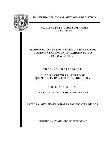 ELABORACIÃN DE PNO's PARA UN SISTEMA DE ...