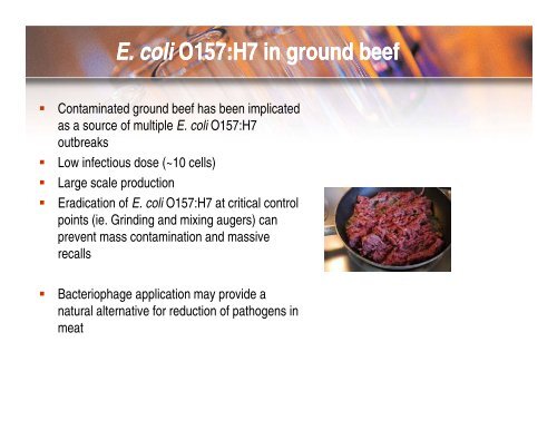 Bacteriophage application for elimination of E coli for elimination of ...