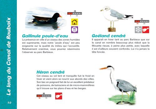 Roubaix aux oiseaux - DÃ©veloppement durable - Ville de Roubaix