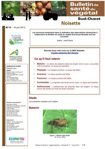 BSV Noisette, nÂ°11, 14 juin 2013 - Chambre rÃ©gionale d'agriculture ...