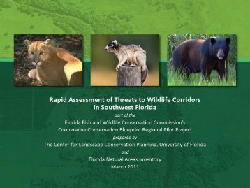 Rapid Assessment of Threats to Wildlife Corridors in SW Florida ...