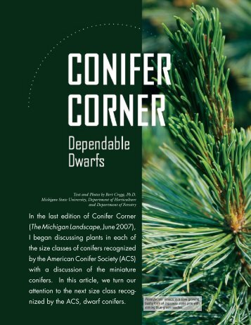 Dwarf conifers - Department of Horticulture - Michigan State University