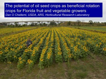 The potential of oil seed crops as beneficial ... - Florida Ag Expo