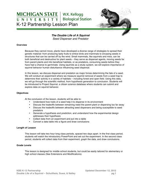 Experimental design worksheet middle school