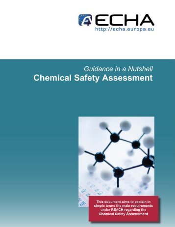 Chemical Safety Assessment - ECHA - Europa