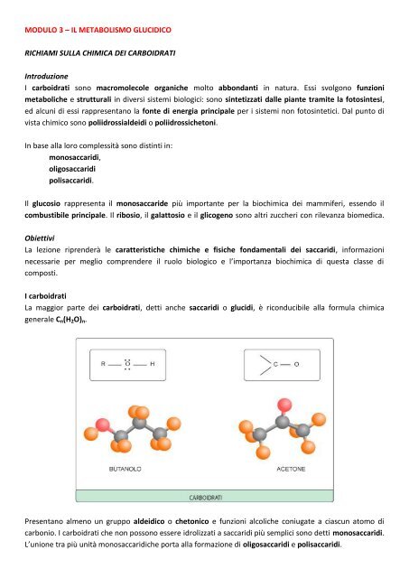 IL METABOLISMO GLUCIDICO RICHIAMI SULLA ... - life and fitness
