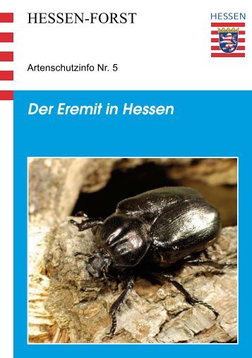 Der Eremit in Hessen HESSEN-FORST - Landesbetrieb Hessen-Forst