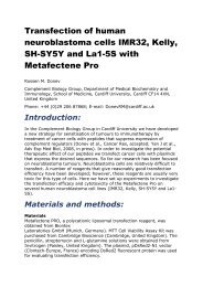 Transfection of human neuroblastoma cells IMR32, Kelly, SH-SY5Y ...