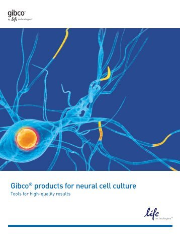 GibcoÂ® products for neural cell culture