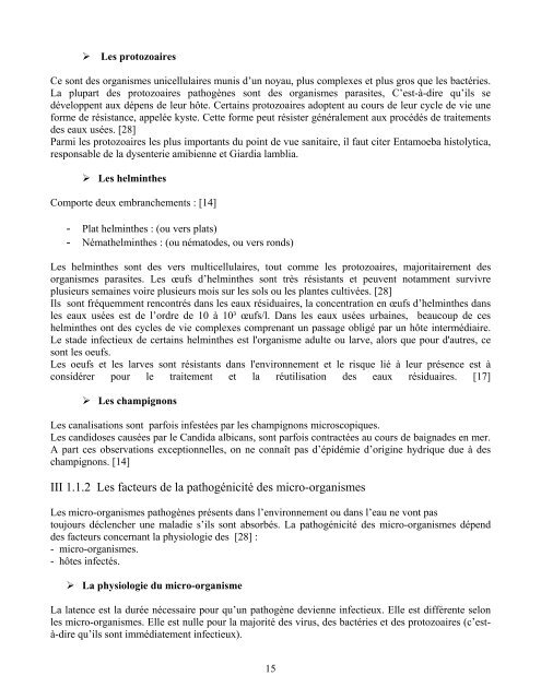 PDF (Rapport) - ENGEES