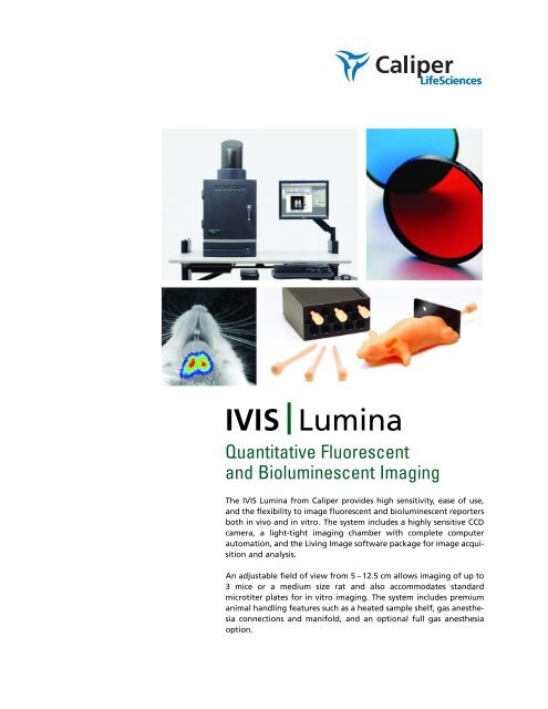 IVIS|Lumina