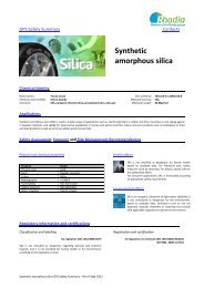 Synthetic amorphous silica - Rhodia