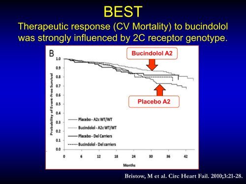 Ethnic differences - intrinsic and extrinsic factors