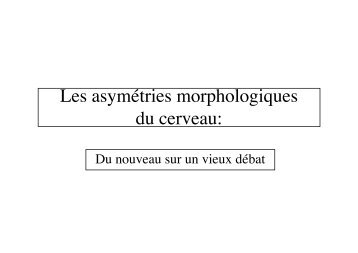 Les asymÃ©tries morphologiques du cerveau: - Resodys