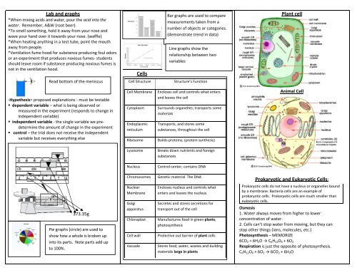 Lab and graphs Cells Plant cell Prokaryotic and Eukaryotic Cells: