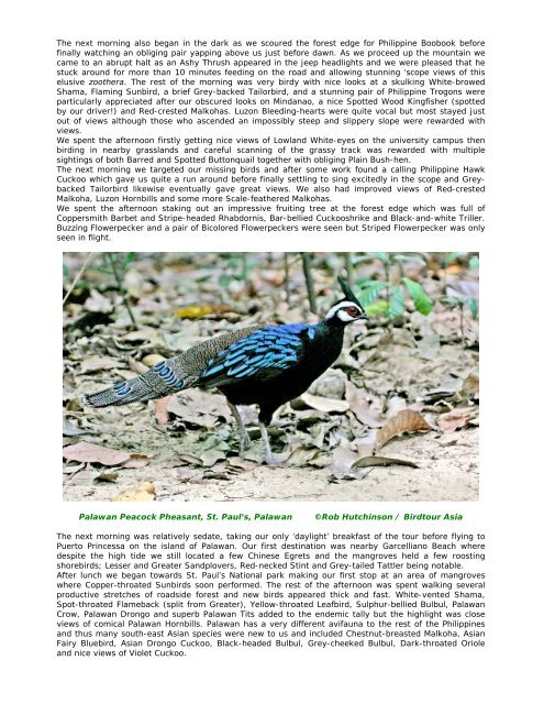 The Philippines - Birdtour Asia