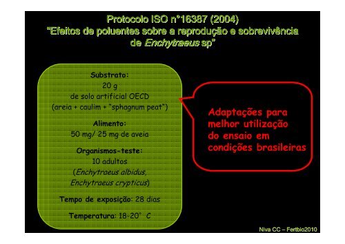 Enquitreídeos: o que são e sua importância no solo - Fundagres