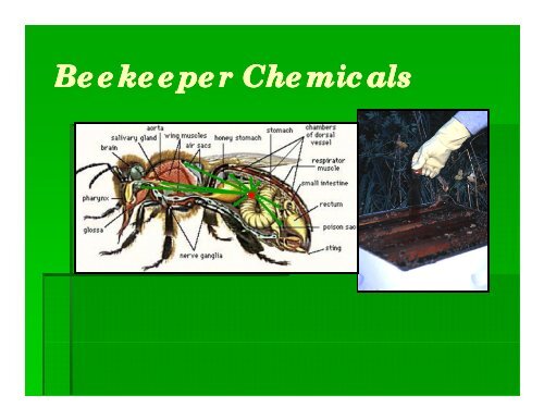 Presentation by G.W. Hayes Jr - Colorado State Beekeepers ...