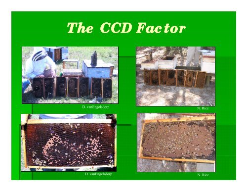 Presentation by G.W. Hayes Jr - Colorado State Beekeepers ...