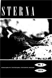 Sterna, bind 13 nr 2 (PDF-fil) - Museum Stavanger