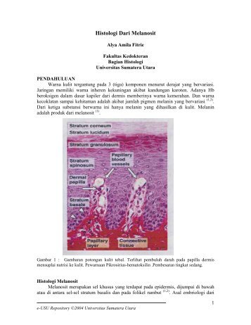 histologi dari melanosit - USU Library - Universitas Sumatera Utara
