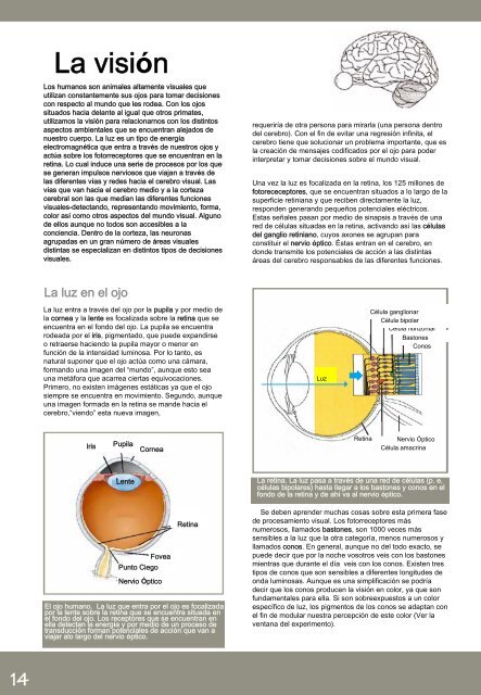 Neurociencias - British Neuroscience Association