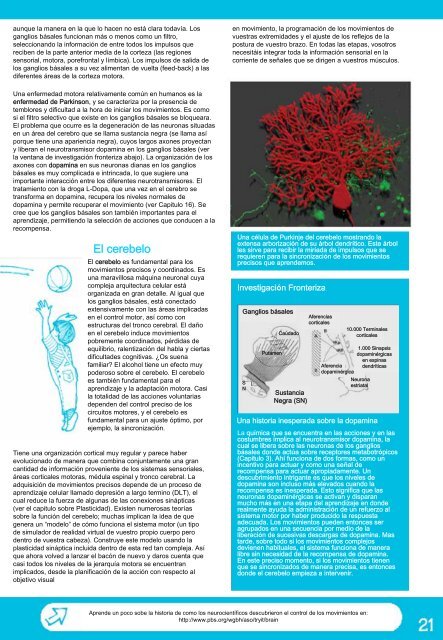 Neurociencias - British Neuroscience Association