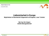 natGAS - Unternehmensinformationen