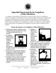 Seguridad Operacional de las Cargadoras y Palas HidrÃ¡ulicas