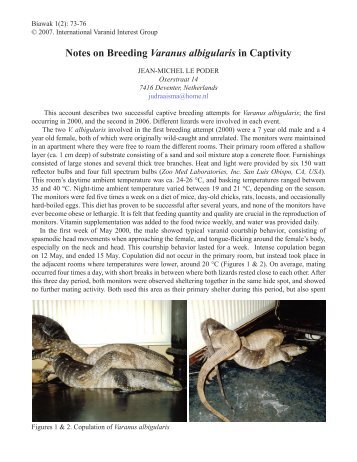 Notes on Breeding Varanus albigularis in Captivity - International ...