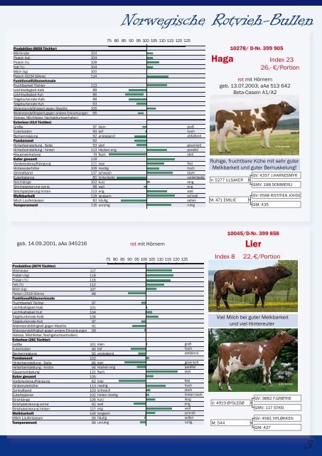 Bullenkatalog - Twoplus