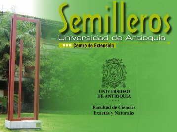 Portafolio semillero 2013-1.pdf - Matemáticas - Universidad de ...
