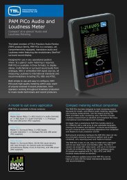 PAM PiCo Audio and Loudness Meter