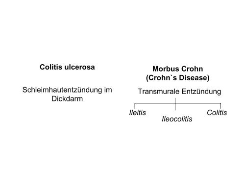 PrÃ¤biotika, Probiotika und intestinales Immunsystem