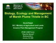 Biology, Ecology and Management of Marsh Plume Thistle in BC