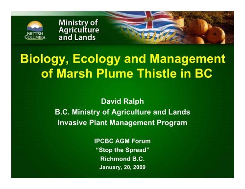 Biology, Ecology and Management of Marsh Plume Thistle in BC