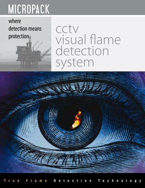 Video Flame Detection Brochure